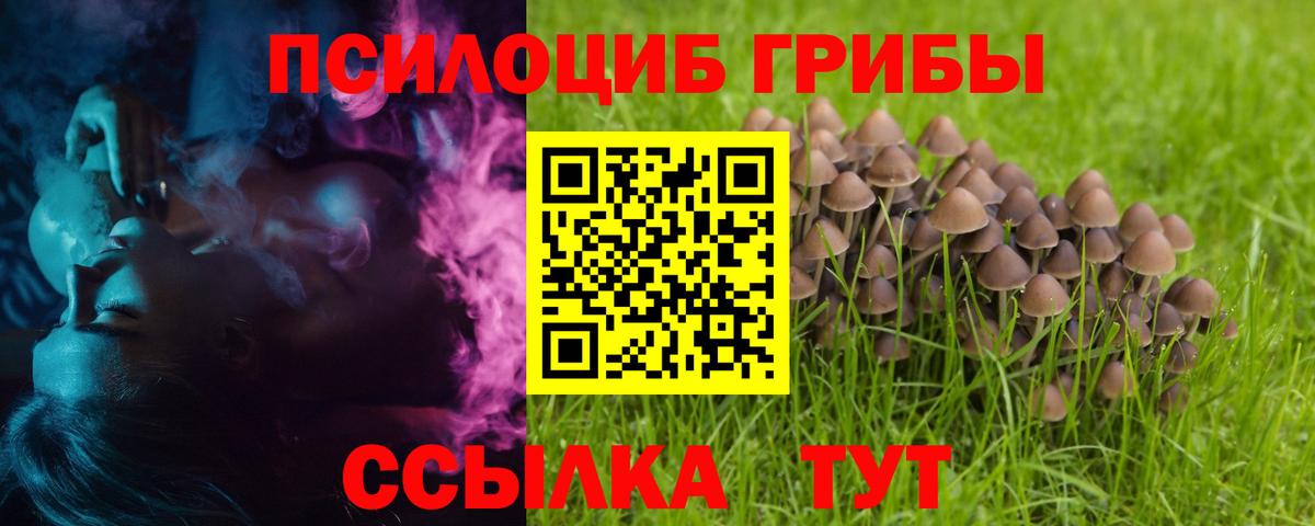 Псилоцибиновые грибы Magic Shrooms Гусь-Хрустальный